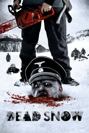 Dead Snow 1 ผีหิมะ กัดกระชากโหด (2009)